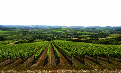 Ferienwohnung mit Pool, Toskana