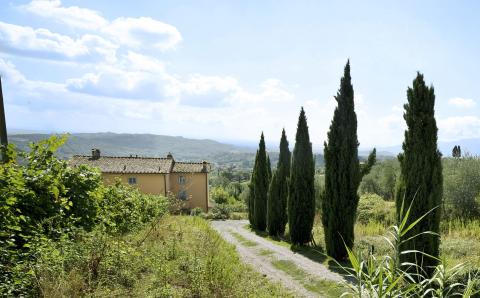 Ferienhaus mit Pool, Lucca, Toskana