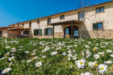 Agriturismo Diacceroni Toskana Volterra | Tritt-Toskana.de