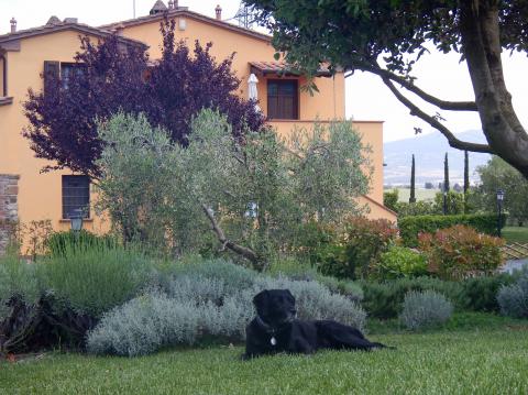 Agriturismo mit Pool und Ferienwohnungen, nahe der toskanischen Küste