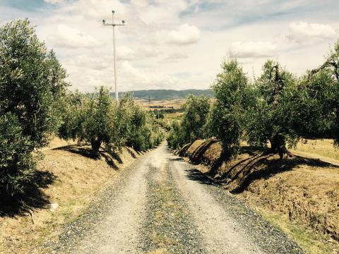 Agriturismo mit Pool und Ferienwohnungen, nahe der toskanischen Küste