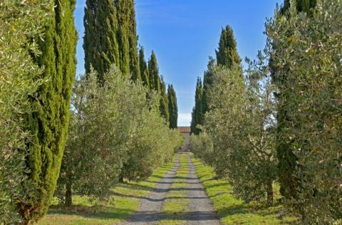 Podere Forestale, Toskana, Tritt Case in Italia