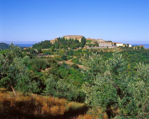 Podere Forestale, Toskana, Tritt Case in Italia