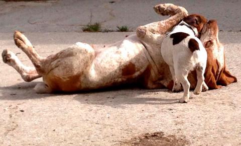 Agriturismo Pieve a Salti, Siena, Toskana