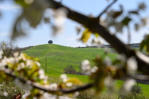 Agriturismo Pieve a Salti, Siena, Toskana