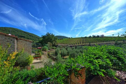 Ferienhaus Casa Maria Luisa im Chianti, Toskana, Tritt Case in Italia