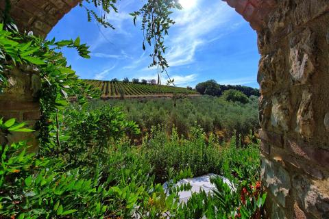 Ferienhaus Casa Maria Luisa im Chianti, Toskana, Tritt Case in Italia