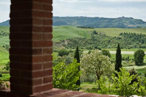 Agriturismo mit Pool, 6 Ferienwohnungen bei Volterra, Tritt-Toskana