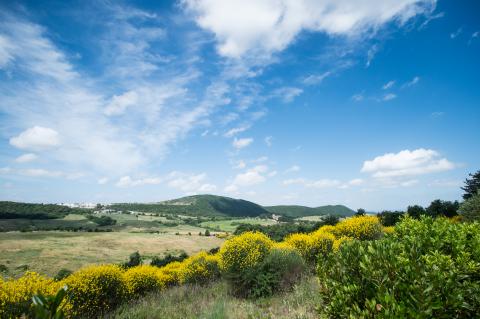 Cignella Resort Val d'Orcia, Toskana, Tritt Case in Italia