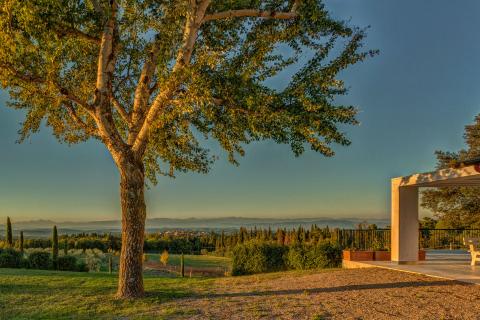 Country Resort Montaione, Tritt Case in Italia