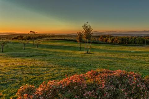 Country Resort Montaione, Tritt Case in Italia