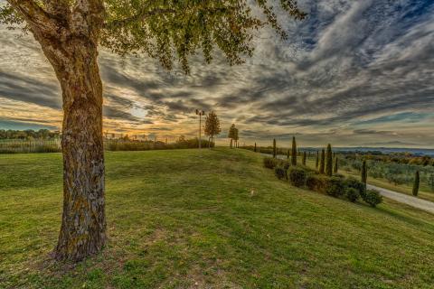 Country Resort Montaione, Tritt Case in Italia