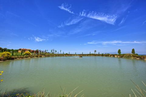 Country Resort Montaione, Tritt Case in Italia