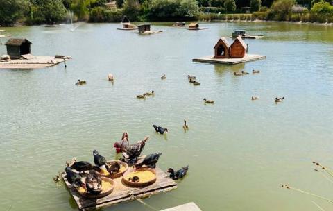 Country Resort Montaione, Tritt Case in Italia