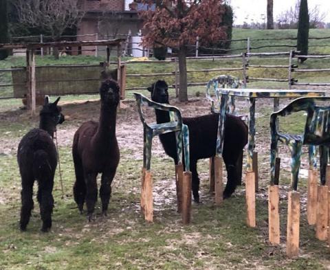 Country Resort Montaione, Tritt Case in Italia