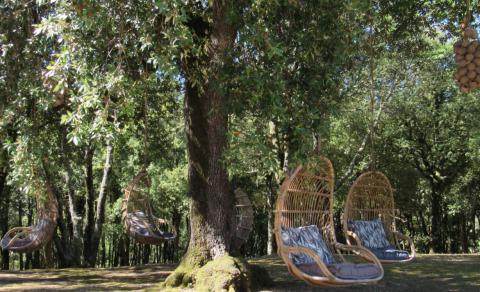 Country Resort Montaione, Tritt Case in Italia