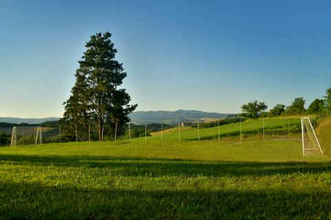 Luxus-Ferienvilla Il Papavero 22 Pers. Toskana