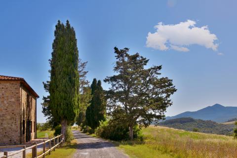 Luxus-Ferienvilla Il Papavero 22 Pers. Toskana