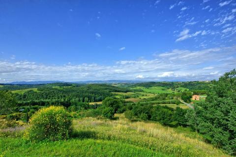 Freistehendes Ferienhaus für bis zu 8 Personen in den Hügeln der Toskana, Tritt Case in Italia