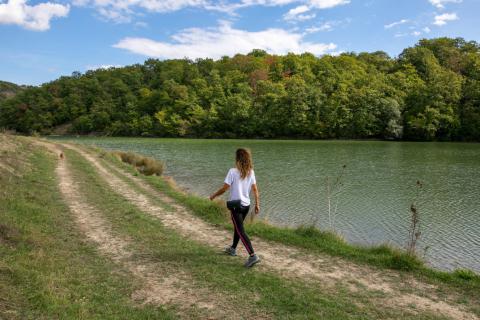 Agriturismo mit Luxusvilla und 11 Ferienwohnungen in der Toskana, Tritt Case in Italia