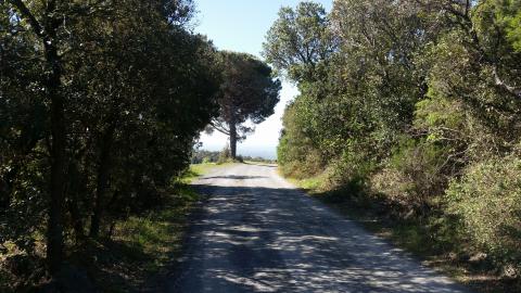 Agriturismo Ortacavoli