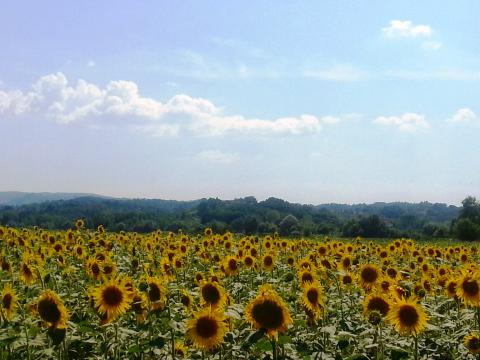 Agriturismo mit Pool, Toskana