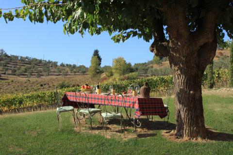 Ferienwohnungen nahe Florenz mit Pool