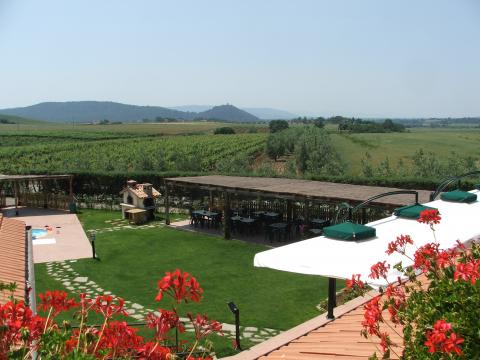 Terrasse am Pool
