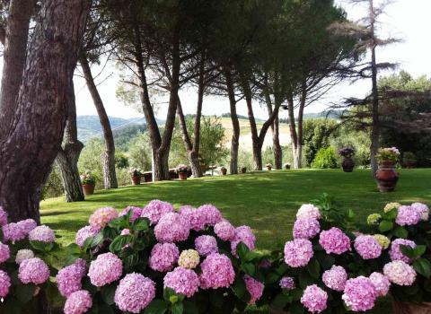 Agriturismo l'Antica Fattoria * * *Pisa, Toskana|Tritt-toskana.de