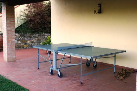 Tischtennisplatte