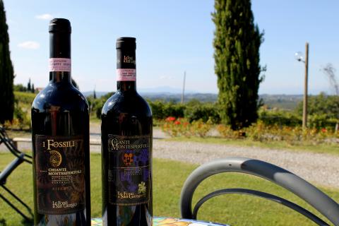 Olivenöl der Agriturismo
