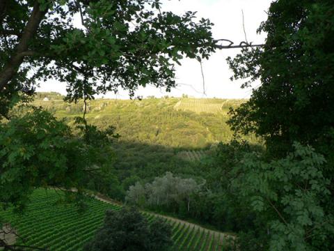 Agriturismo Chianti in der Toskana | Tritt-toskana.de