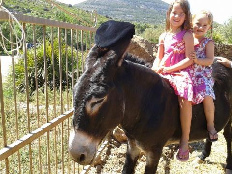 Borgo Corallo, Alghero, Sardinien, Tritt-Case in Italia