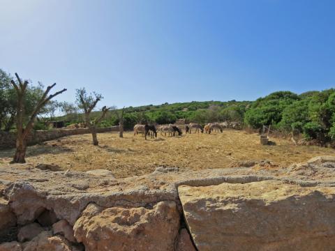 Borgo Corallo, Alghero, Sardinien, Tritt-Case in Italia