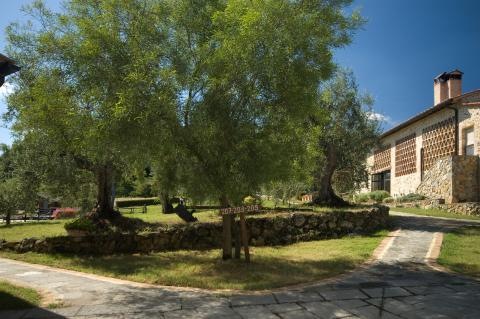 Tenuta di Castel San Gimignano im Toskana | Tritt-toskana.de