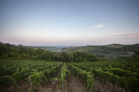 Agriturismo Borgo San Lorenzo**** mit Pool |Tritt-toskana.de