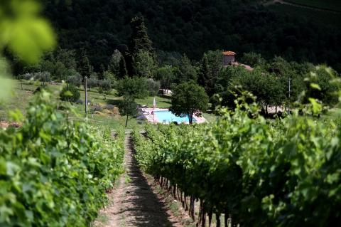 Agriturismo in der Nähe von Florenz