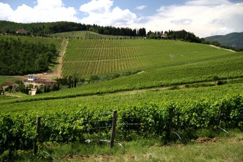 Agriturismo in der Nähe von Florenz