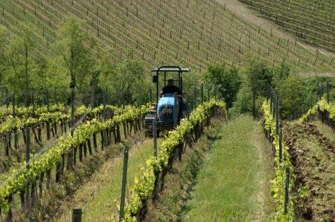 Agriturismo in der Nähe von Florenz