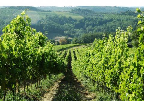 Ferienwohnungen mit Pool in der Toskana