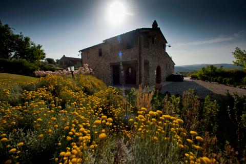 Poggio Panoramico in Arezzo mit Sportanlagen | Tritt-toskana.de