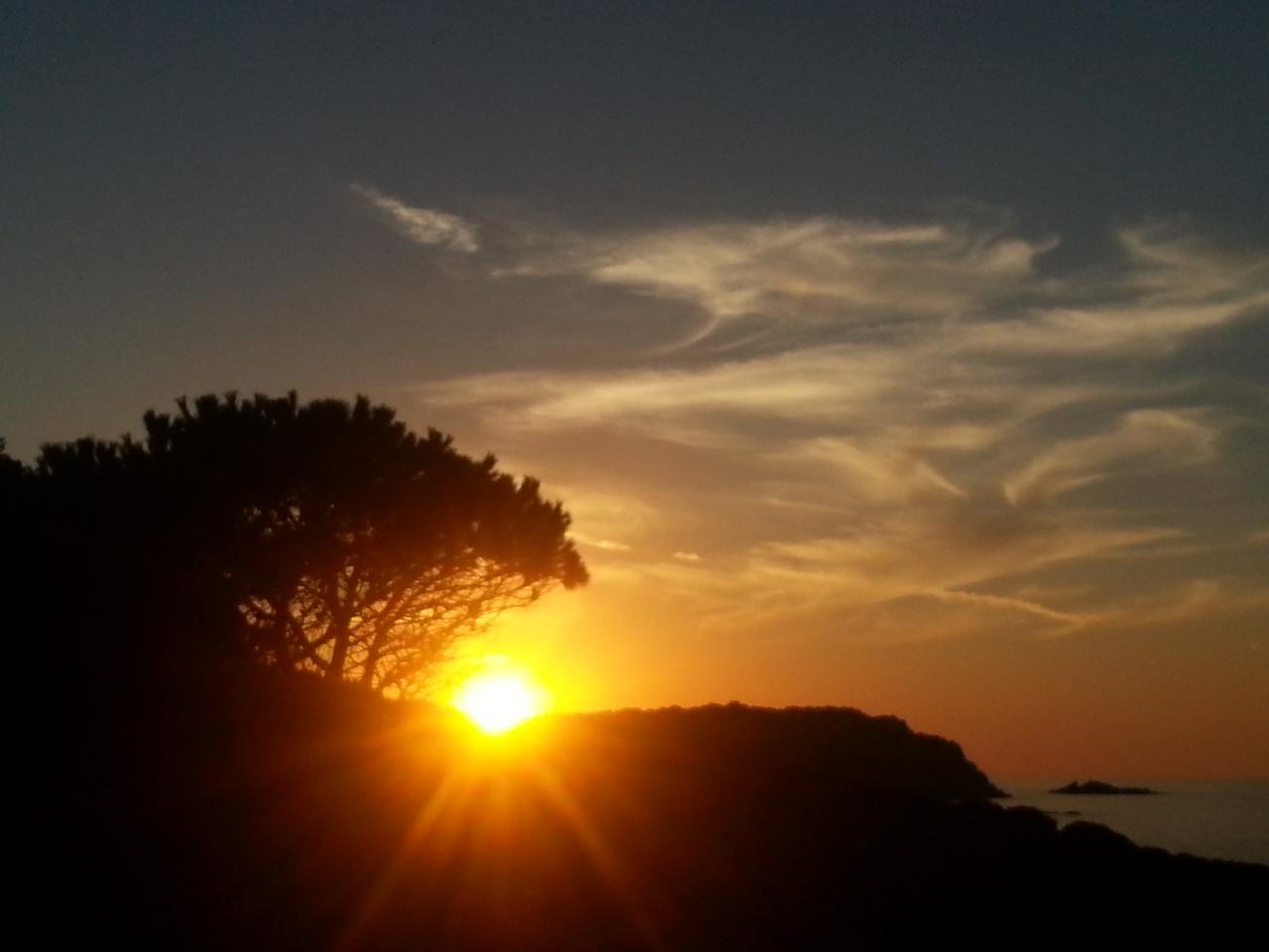 Ferienanlage Residence Il Mirto, Sardinien, Tritt Case in Italia