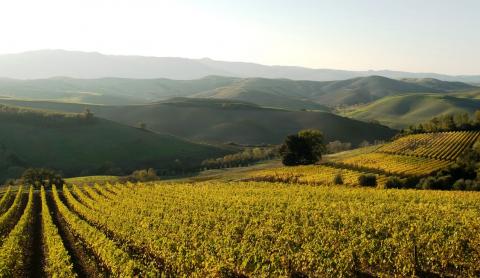 Ferienwohnung im Agriturismo mit Pool, Toskana