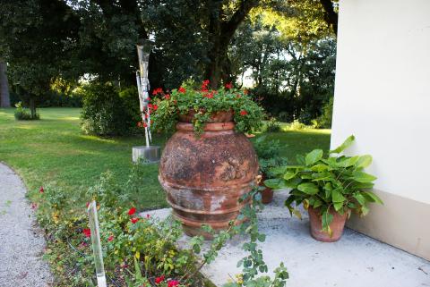 Ferienwohnung im Agriturismo mit Pool, Toskana