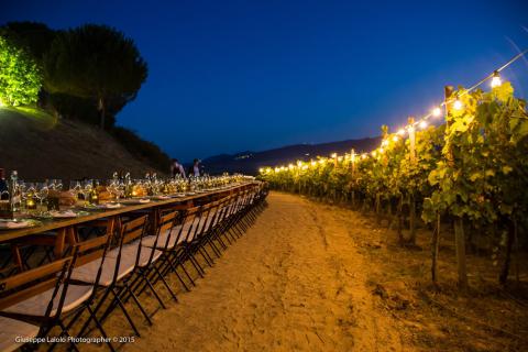 Pieve de' Pitti Agriturismo