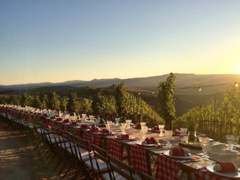 Pieve de' Pitti Agriturismo