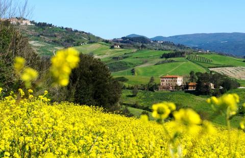 Villa in der Toskana für Familienfeier, Hochzeit oder Geschäftsmeetings | Tritt-toskana.de