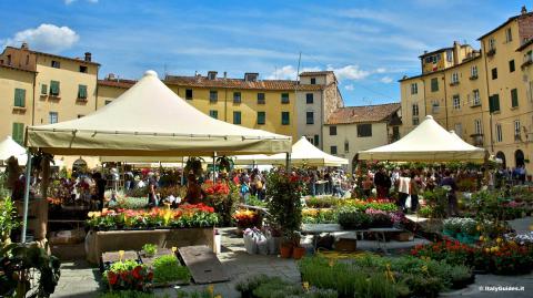 Blumen für die Heilige Zita in Lucca, Toskana