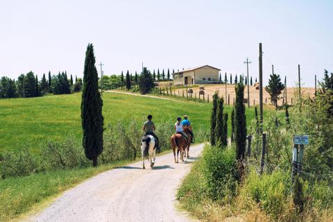 Pferde in der Toskana