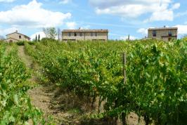 Poggio Panoramico in Arezzo mit Sportanlagen | Tritt-toskana.de
